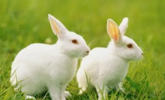 0af767d0040a2af82b81b9d588183bbf 0af767d0040a2af82b81b9d588183bbf