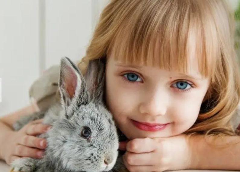 0b9bb51429a22acbb52ba59d14726e6f