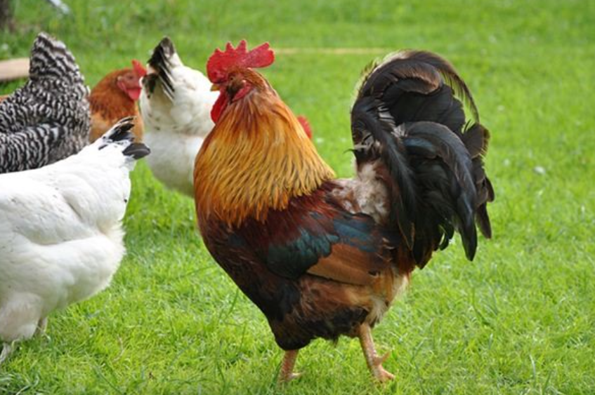 12d910136780dc52a393cec93be59280