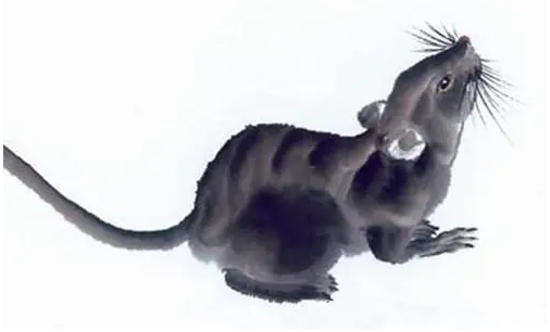 209e5e8c7df8e1b90793a3590a3ccc68 209e5e8c7df8e1b90793a3590a3ccc68