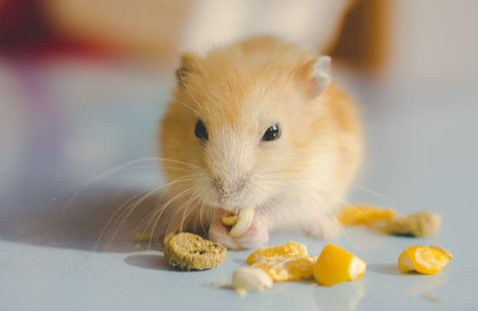 20e749130fa48171c46ab6753efe76bb