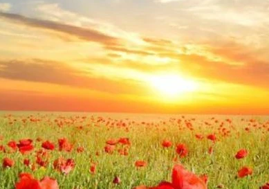 23c7e4d895052f4b3ff2ce6b408408ba 23c7e4d895052f4b3ff2ce6b408408ba