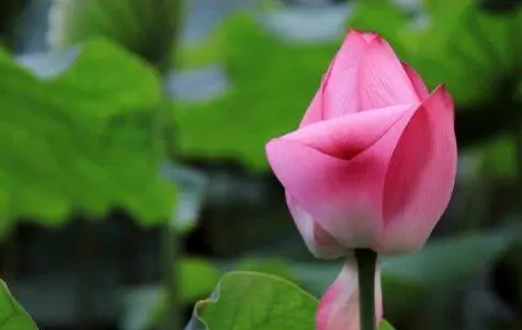 291bd7059b7469e4221ee61f423edf3b 291bd7059b7469e4221ee61f423edf3b