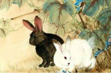 2c99ef67735cfc8bd441300503442c1c 2c99ef67735cfc8bd441300503442c1c