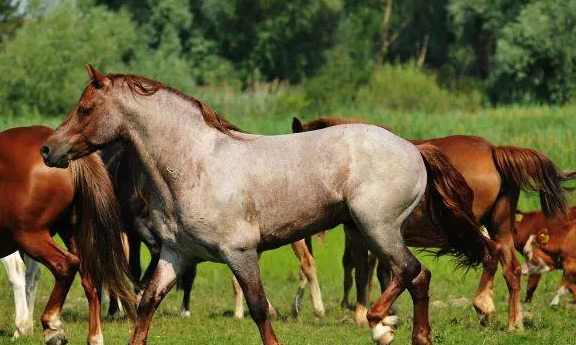 309139da911437cbc26ad062f5e2a43d 309139da911437cbc26ad062f5e2a43d