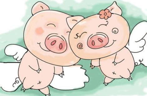 337fbda09053587758eaa2f5cd85f4f3 337fbda09053587758eaa2f5cd85f4f3