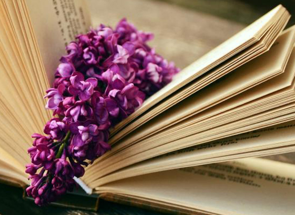 42dbdca464100e1a7dd10b79c21c55b2 42dbdca464100e1a7dd10b79c21c55b2