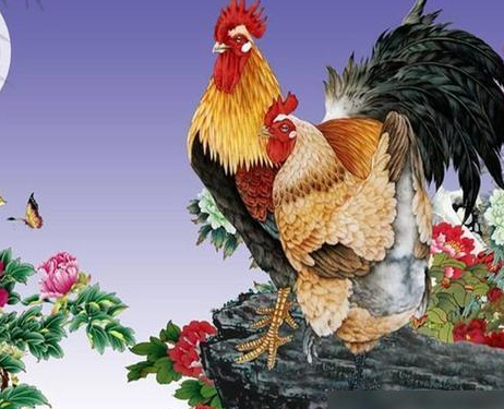 4756756a8f11b907b740119392865054 4756756a8f11b907b740119392865054