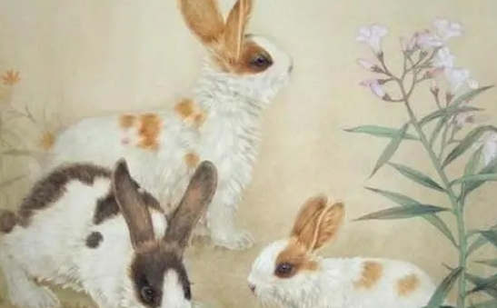 4ddbb9efb0610be893e259c3e44c9209 4ddbb9efb0610be893e259c3e44c9209