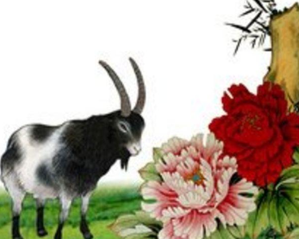 4e0e754fc007aab676dc69982cc4744e 4e0e754fc007aab676dc69982cc4744e