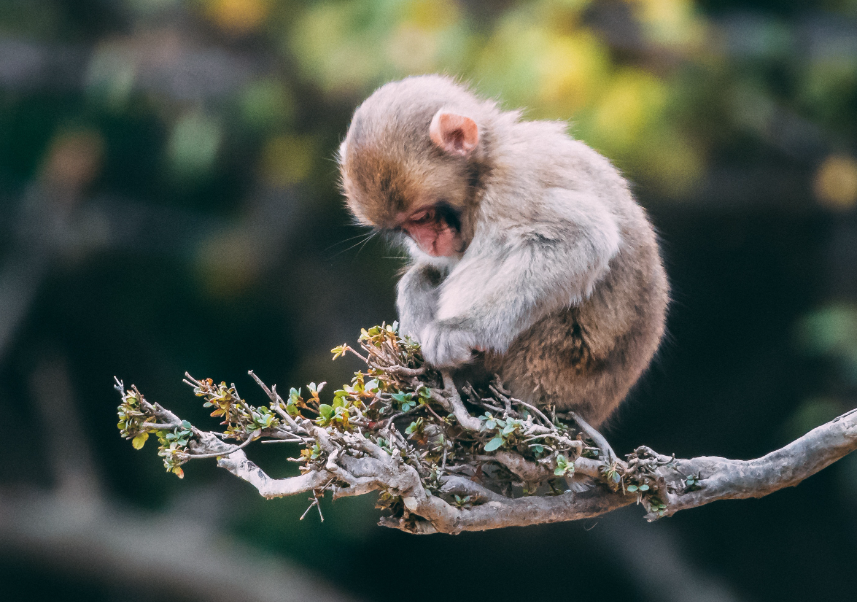 519498a3b82dfbbe21d6ec6616ed92d1 519498a3b82dfbbe21d6ec6616ed92d1