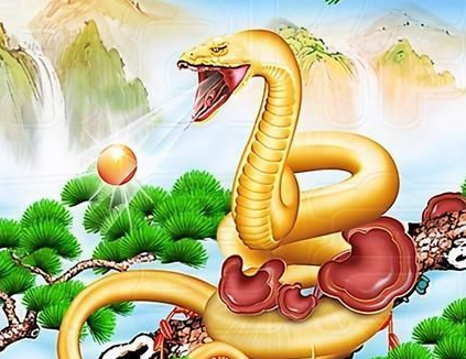 5c7f4f3181c7ad16a538c84143448e0b 5c7f4f3181c7ad16a538c84143448e0b