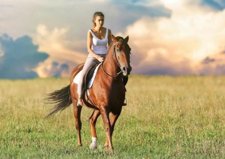 61d801fb954b6f41d98463ac0c26eb4f