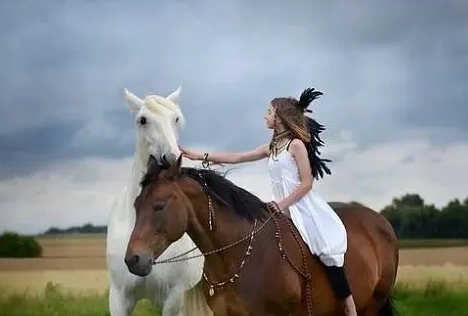 6e2e993db1d449e6a8a93293493690a2 6e2e993db1d449e6a8a93293493690a2