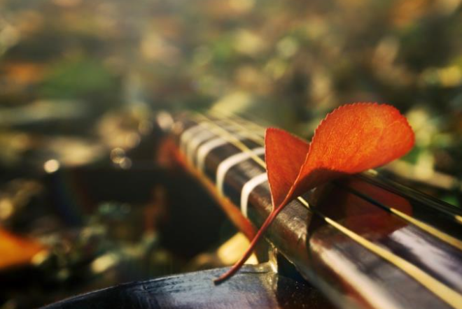 742a3a877a144b1b89942418cde1e049 742a3a877a144b1b89942418cde1e049