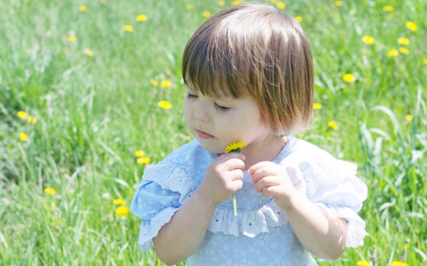 8b61656f064b2e438b996175aad934fe