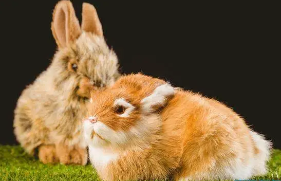 8e656380a006fc4f38ed1327bfb1be45 8e656380a006fc4f38ed1327bfb1be45