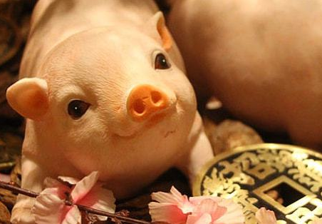 97727a8f5bc2197a96fdba717f372a71 97727a8f5bc2197a96fdba717f372a71