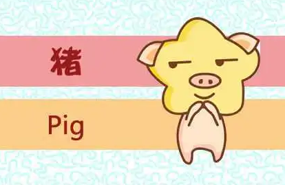 9e26669a99214253eef60f78dd050b6e
