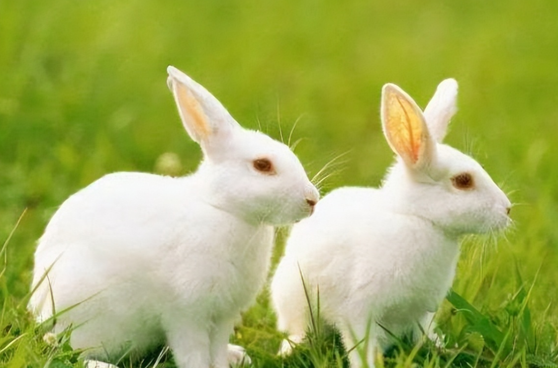 a7ccd6ea16bc1d6edfb34f9bd1db4b6d