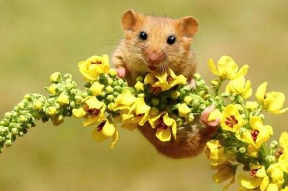 aba44ccb78e7a580d58ebcba1b270829 aba44ccb78e7a580d58ebcba1b270829