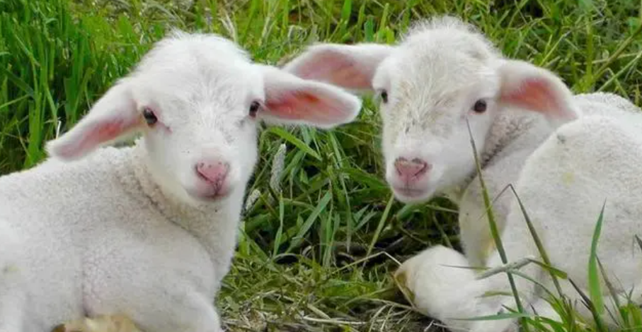 b01478495b3497d578e57efab312b802