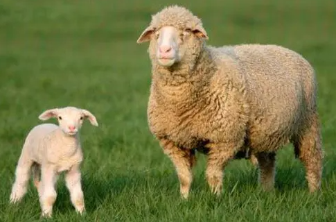 b0caa4fc0a14a4023eb9a9571a40761a b0caa4fc0a14a4023eb9a9571a40761a