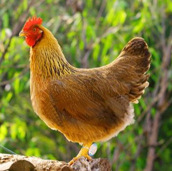 c737c22672dc2ac8acb12e71a5cb61f2