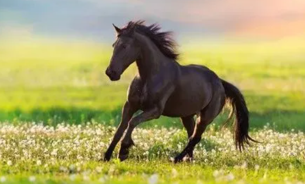 de5669877d520091d2db88f921cf13dc