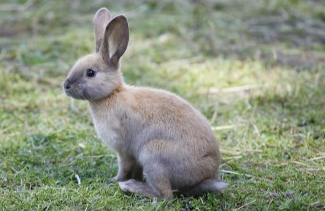 f29fd5d647137122e96306e4e8199def