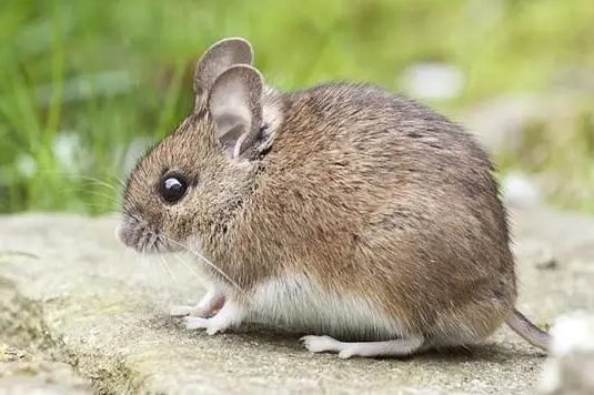 fbf43617ea03f210151abad86bb2c366 fbf43617ea03f210151abad86bb2c366