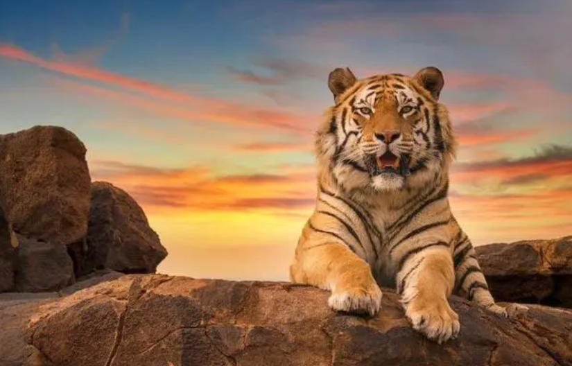 067a9d5c89ecdf827e053cca1a3a5605