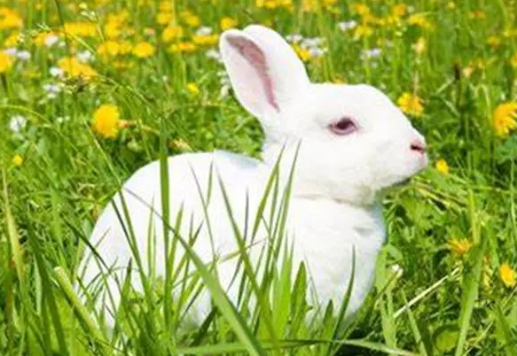 0a2ea3b10547a3b82a289e2d2e77e1c9