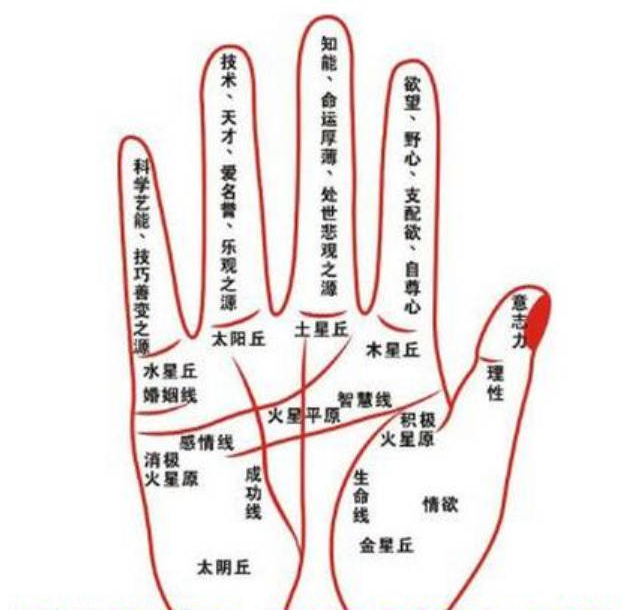 11c85bd8cdc11e5056ca45eab5dd73bf 11c85bd8cdc11e5056ca45eab5dd73bf