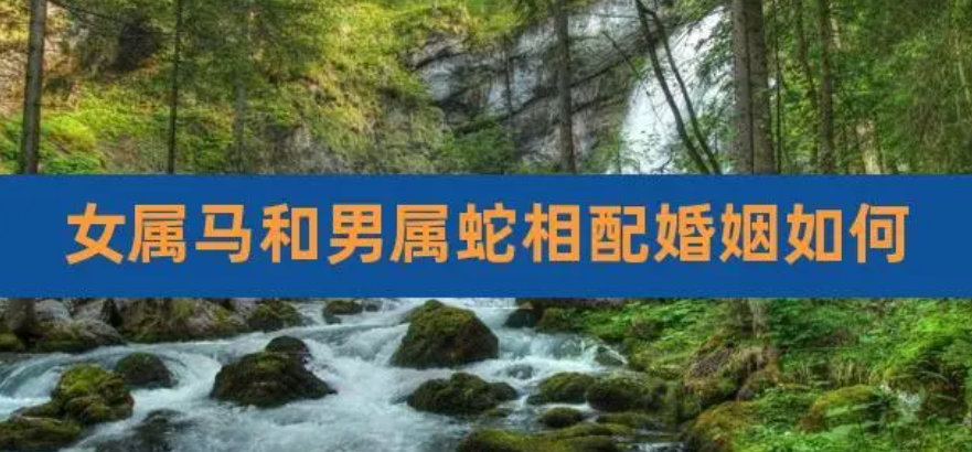 2108ff996ee80b7b22e1617444013d80