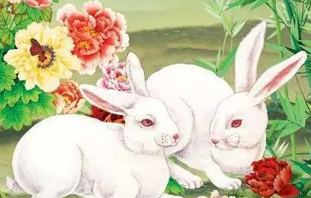 29b10f3c9d9f48779e536dbc3989c3f4