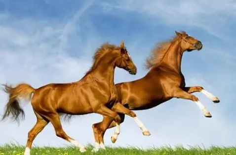 2b683847c4e13dff5858d52d0bc49932