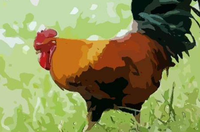 2ba3bc31fa24b4cd2d4928bc5b5bfd22