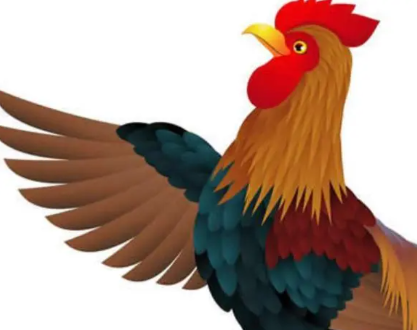 37e02723d0e00a53cedc31d403ea1e75