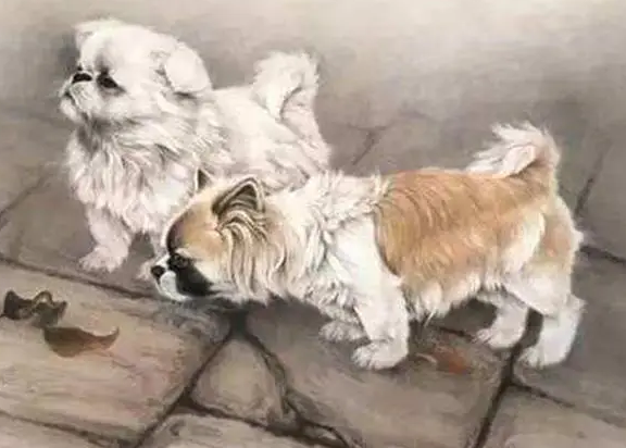 399517ff9a4291c89d6adc752f324c03