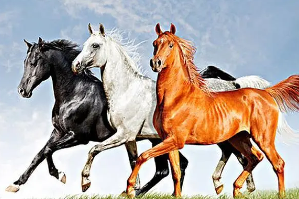 413bd8d7f3d6a2e46a4ba6768da1fdf3 413bd8d7f3d6a2e46a4ba6768da1fdf3