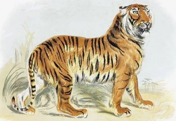 4155e9fa2184e6d390d9625e7021ba49