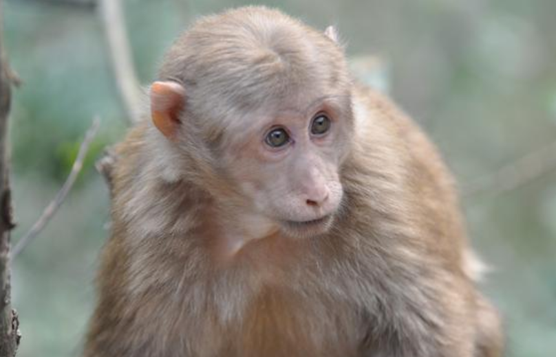 475a9345ff76a7eb3f7d1a6f40bb75c3