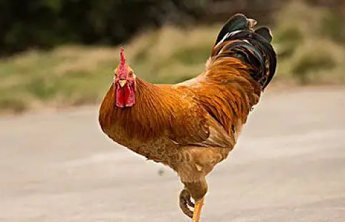 4a7b1c99de33c166e0192d8014c5694a 4a7b1c99de33c166e0192d8014c5694a