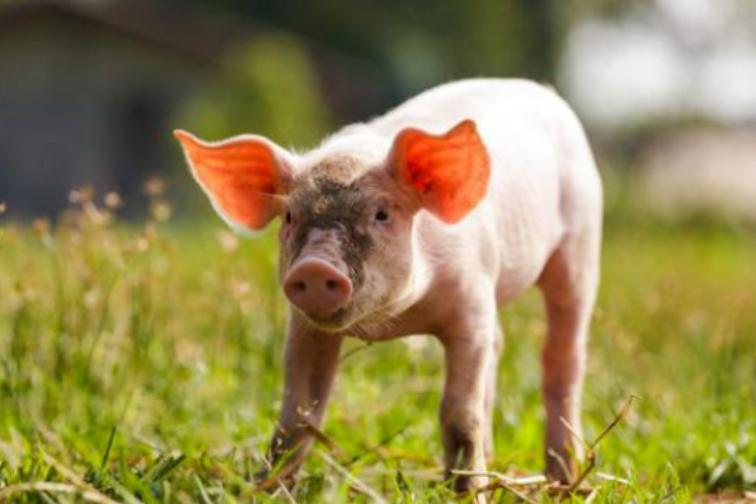 53c39f22eebcde79f926f9651cabc246