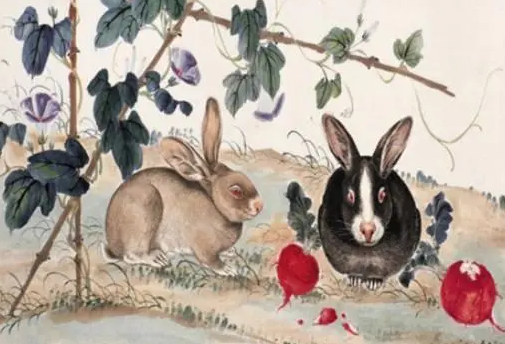 569181d52da66c6d405efeaa88ad7967-1 569181d52da66c6d405efeaa88ad7967-1