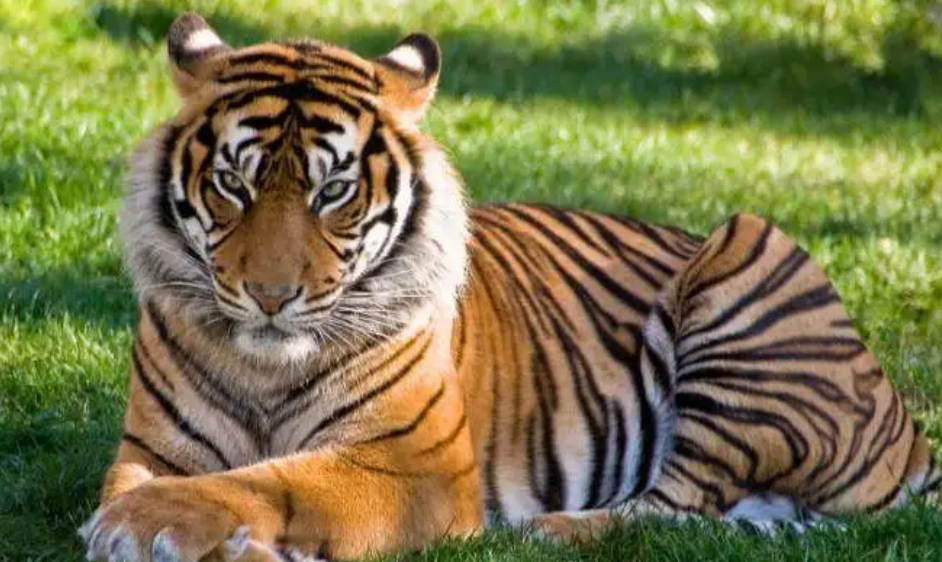 57c133b7e66128edef2438abacdbdf7c