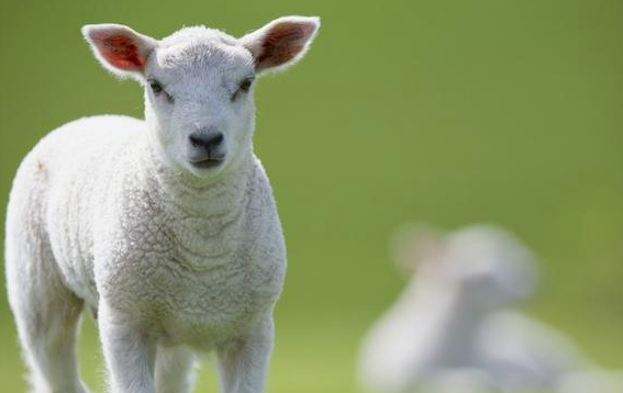 5a0320dd22fd94d1800cbb8107bcb3db