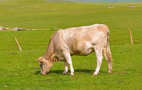 605542efa7002d9eaef0504f46176ae1