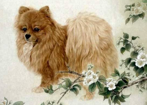 77d3a6077144e21675756806835701cd